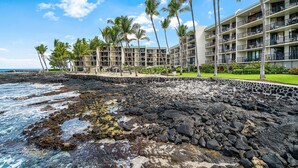 Condo, 1 King Bed with Sofa bed (Kona By The Sea 221) | Property grounds - Kona By The Sea 221 (Kailua-Kona)