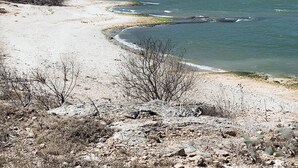 Una playa de arena blanca, agua azul cristalina y vegetación escasa.