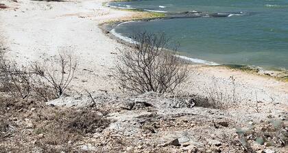 Lakefront House w/ Pool & Private Beach