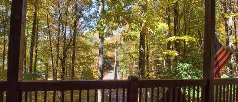 A wooden deck with a view of a forested area.