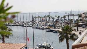 A marina with boats, a bridge in the background, and palm trees. - Apartment with terrace overlooking the lake, a stone's throw from the port (Mèze)