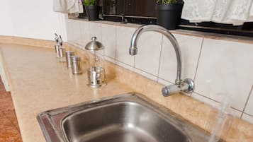 Executive Apartment | Private kitchen | Mini-fridge, microwave, cookware/dishes/utensils, spices