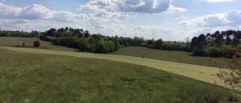 A rural landscape with rolling hills, a field, and a line of trees in the distance.