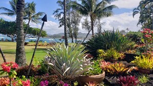 Un jardin tropical avec des palmiers, différentes espèces de plantes et une vue sur l’océan.