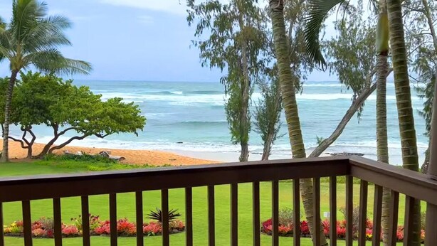 Une vue depuis un balcon donnant sur une plage bordée de palmiers et sur une zone herbeuse parsemée de fleurs.