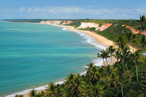 근처 해변, 백사장