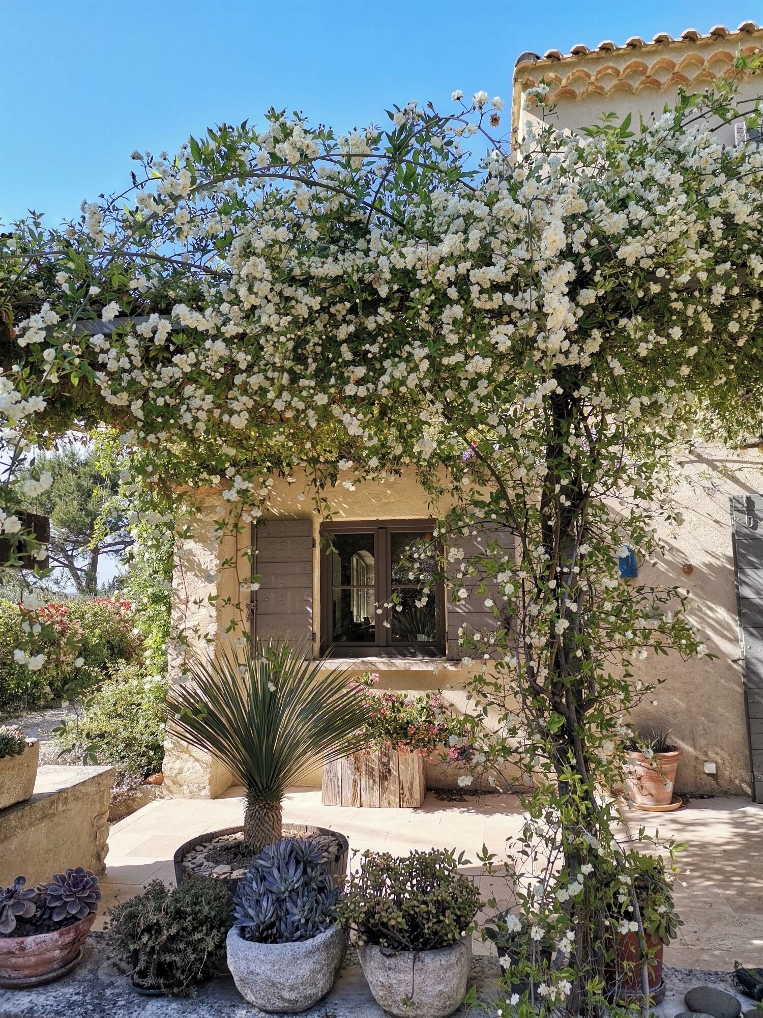 Enceinte de l’hébergement