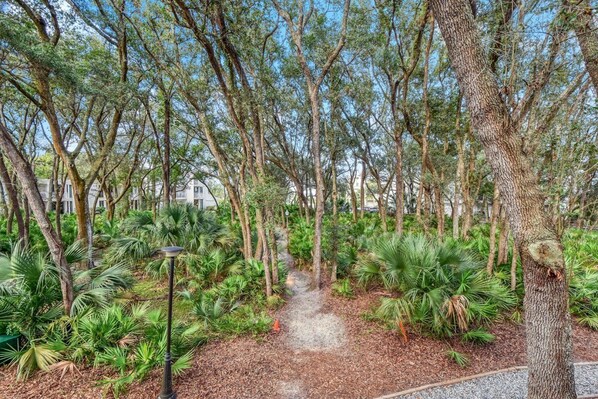 A pathway surrounded by trees and greenery, leading to a building with multiple windows.