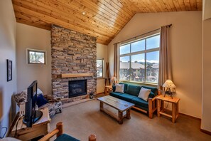 Televisión, chimenea y reproductor de DVD 