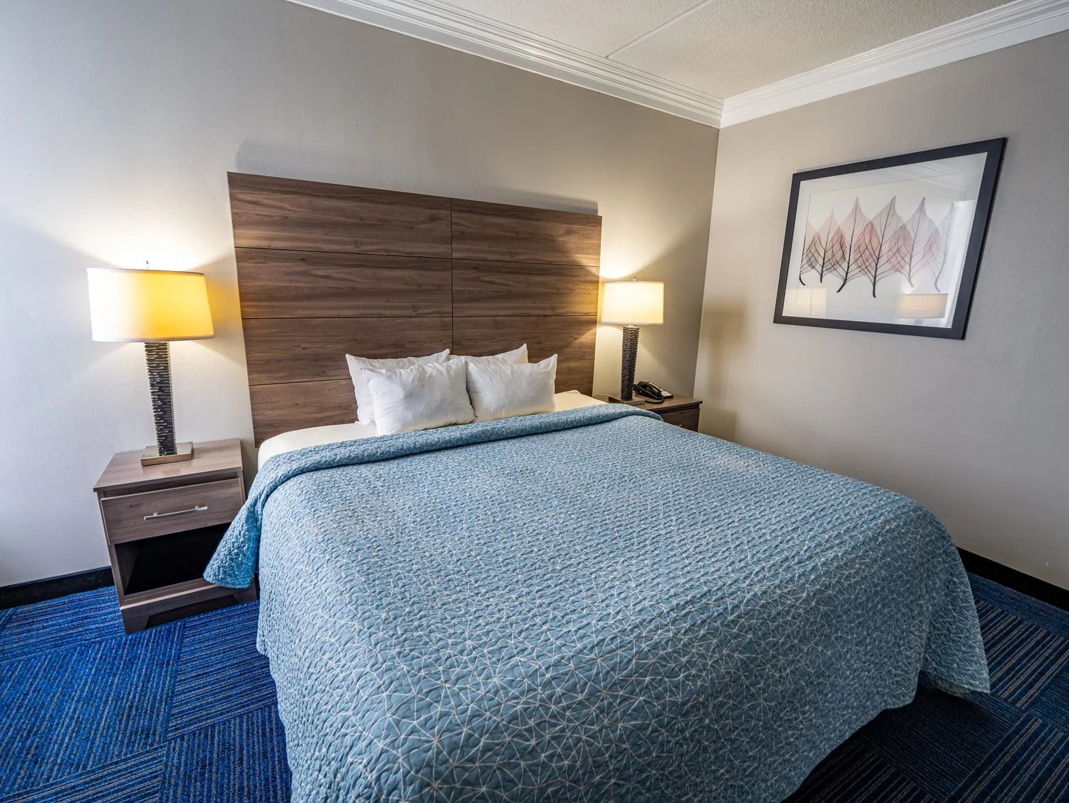 A hotel room with a bed, two bedside tables, a lamp, a framed picture on the wall, and a blue carpet.