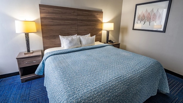 A hotel room with a bed, two bedside tables, a lamp, a framed picture on the wall, and a blue carpet.