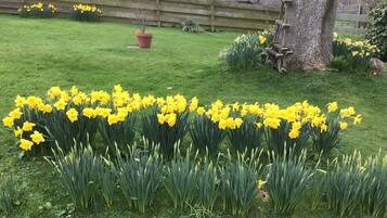 Studio | Property grounds