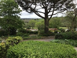 Estudio | Jardines del alojamiento