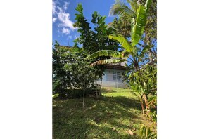 Property grounds - La Finquita Apartment (Lares)