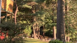 A wooden cabin with a sloped roof and a window, surrounded by dense trees and a well-maintained lawn.