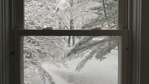 A window with a view of a snow-covered landscape, including trees and a path.
