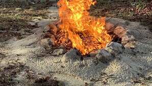 A campfire in a wooded area with trees and a distant house.