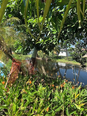 Overnatningsstedets område