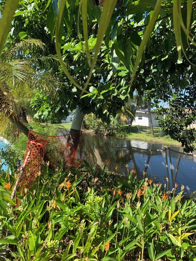 Cheerful and cozy 1 bedroom efficiency. Private