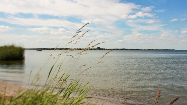 A calm lake with grassy banks and a clear sky.