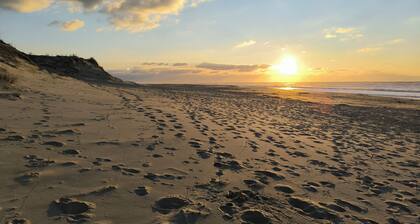 Arcachon-style house 200m from the beach and center