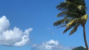 A beach with a palm tree, a small building with a green roof, and a rocky outcrop in the water.
