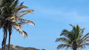 A beachside resort with palm trees, a view of the sea, and a rocky hillside in the background.