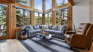 TV connectée, cheminée, écrans d'ordinateur