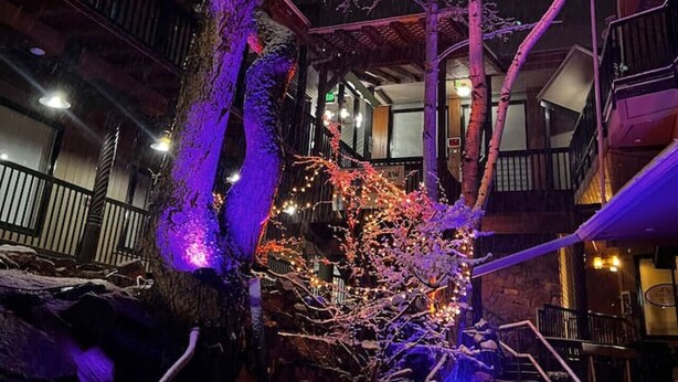 Een gebouw met meerdere verdiepingen en een centraal atrium, met daarin een boom en verlichte takken, omringd door balkons en trappenhuizen.