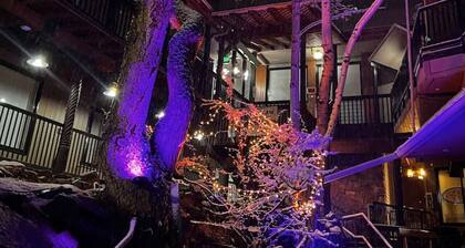 Luxury Downtown Studio Flat 2Murphy Beds Lic.#6073