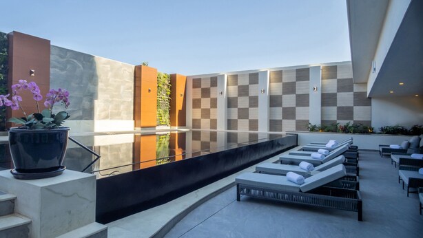 A modern outdoor pool area with lounge chairs and a potted plant. - Sheraton Guadalajara Expo (Zapopan)