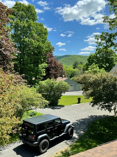 Lenox Retreat Near Tanglewood, Including Rescued Mini Donkeys!