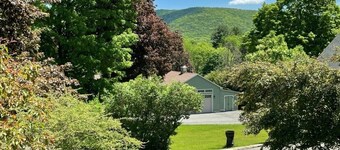 Lenox Retreat Near Tanglewood, Including Rescued Mini Donkeys!