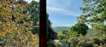 Lenox Retreat Near Tanglewood, Including Rescued Mini Donkeys!