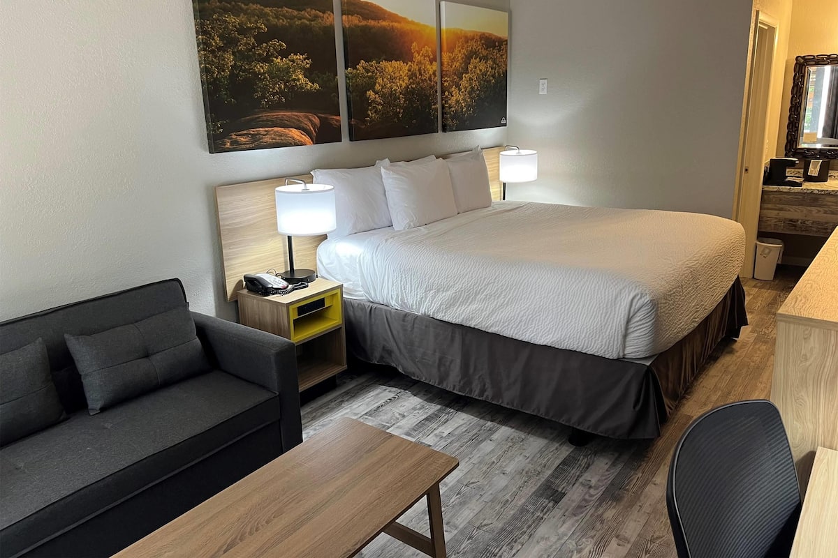 Room, 1 King Bed, Non Smoking