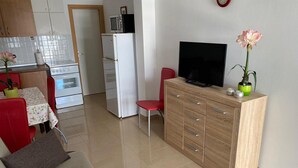 Un espace de vie compact comprenant un coin cuisine, un coin repas et un espace détente avec un canapé et un téléviseur.