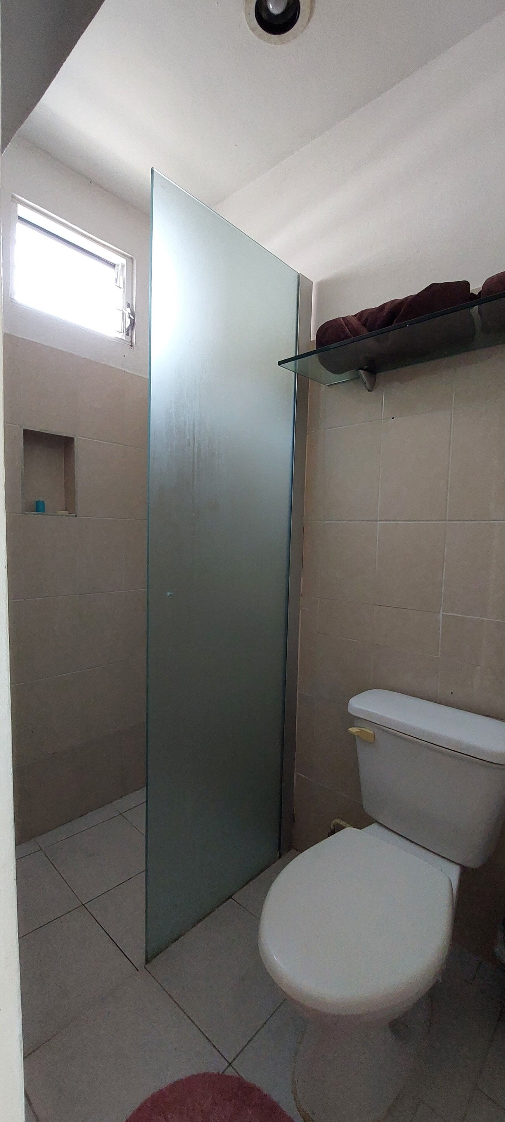 A bathroom with a glass shower door, a white toilet, and a shelf with towels.
