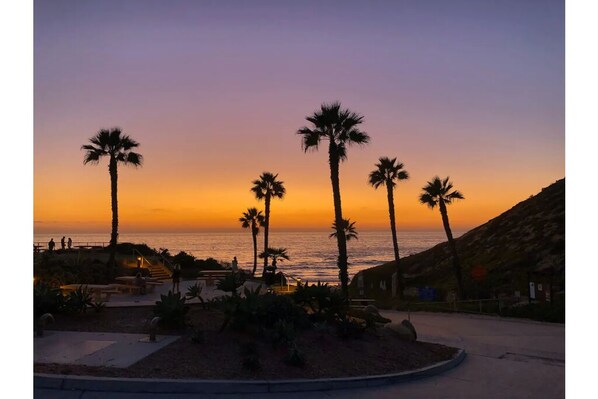 Relax on the beachfront promenade, surrounded by palm trees and stunning ocean views.