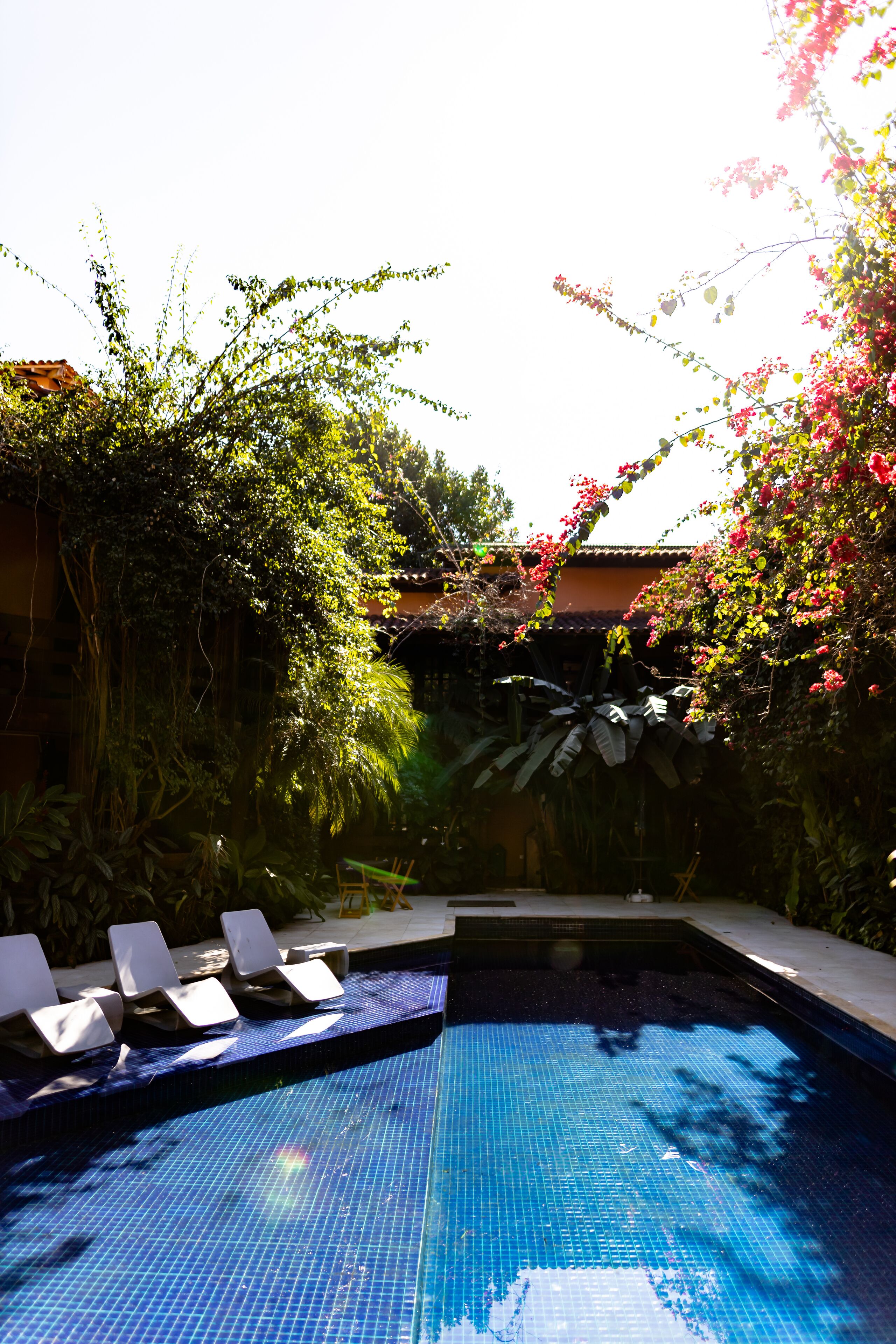 Piscina con sillones de descanso y exuberante vegetación.