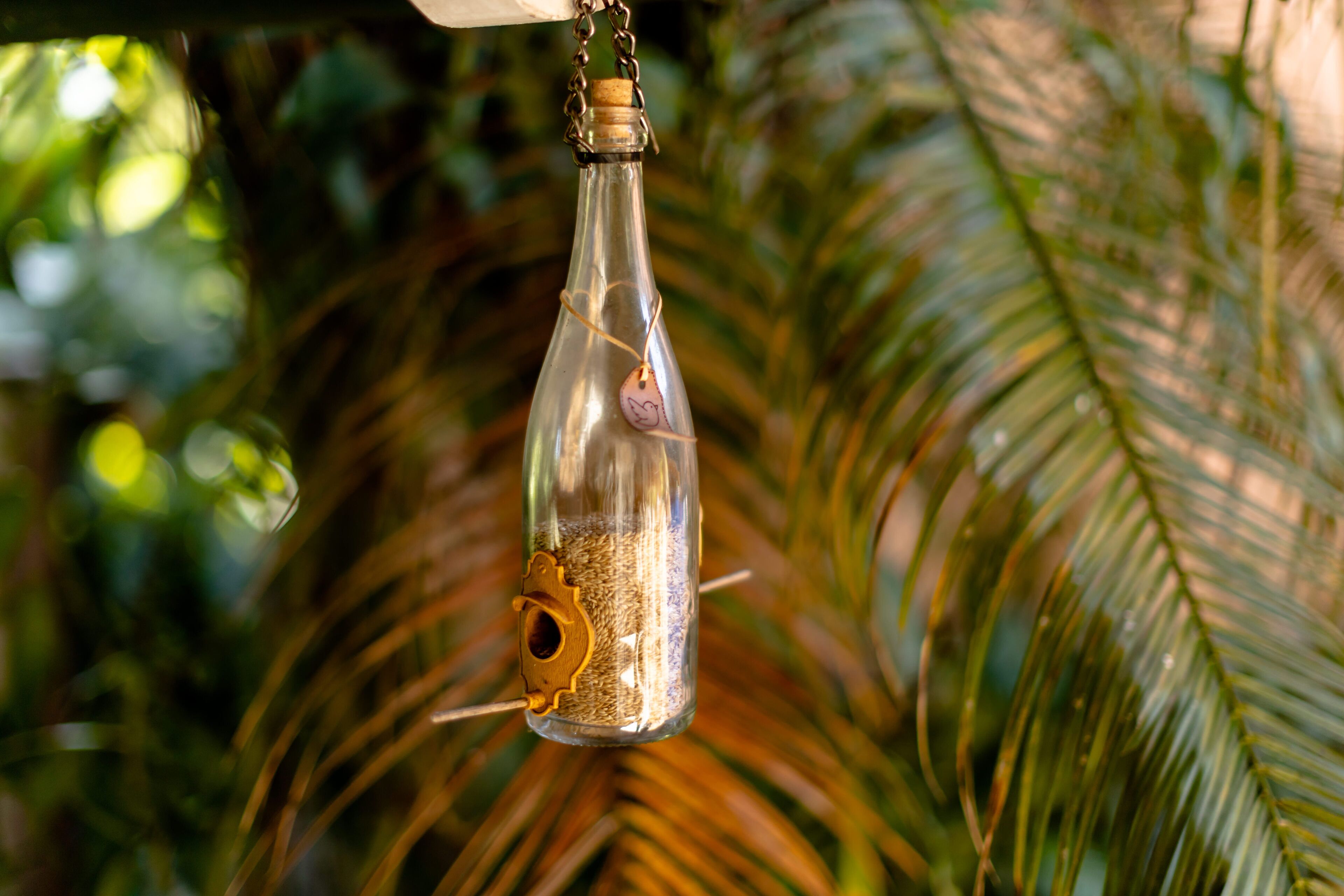 Une bouteille en verre transparent, fermée par un bouchon en liège, suspendue à une ficelle et contenant des graines ainsi qu’un petit distributeur de nourriture pour oiseaux.
