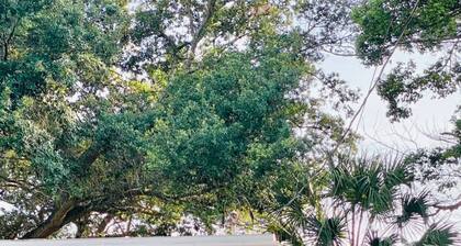 Beautiful suite with separate entrance in Tampa