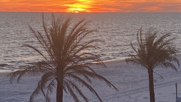 A beach scene with two palm trees and a wooden fence. - Beachfront--Beachfront- Driftwood Yard (Mexico Beach)