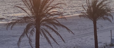 在海滩、沙滩椅