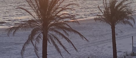 Beach nearby, sun-loungers