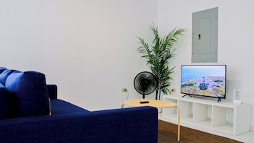 Basic Room | Living area | 55-inch LED TV with digital channels