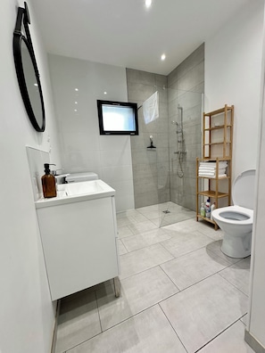 Shower, hair dryer, towels, toilet paper