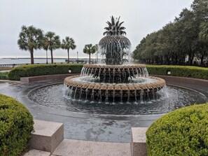 Unclassified image, 3 of 31, button