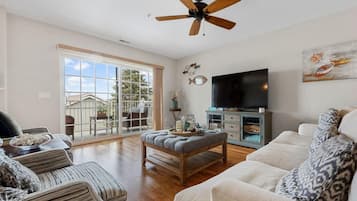 TV connectée, cheminée, lecteur de DVD