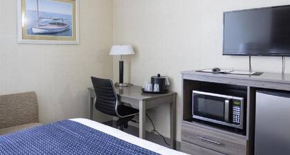 Two Double Beds Standard View