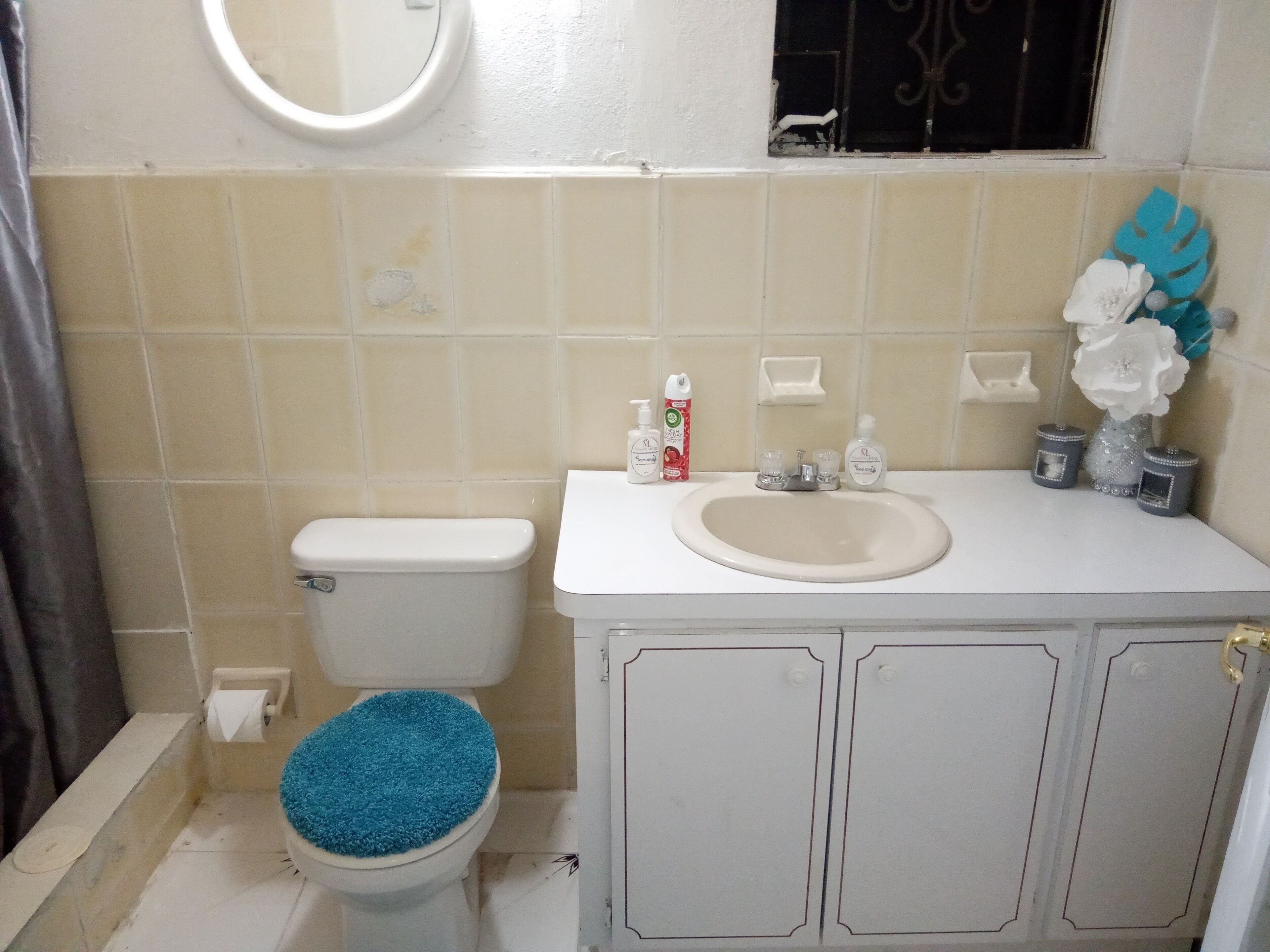 Une salle de bain avec des toilettes, un lavabo et un miroir. On trouve des articles de toilette sur le lavabo et une plante décorative sur le comptoir.
